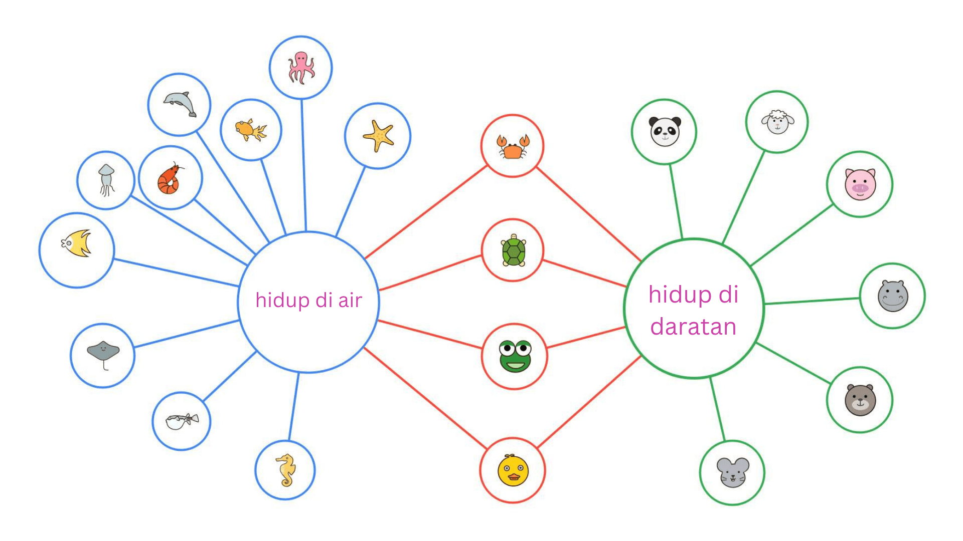 Double Bubble Map